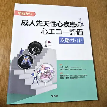 알기 쉬운 성인 선천성 심장 질환 심장 초음파 평가 공략 가이드