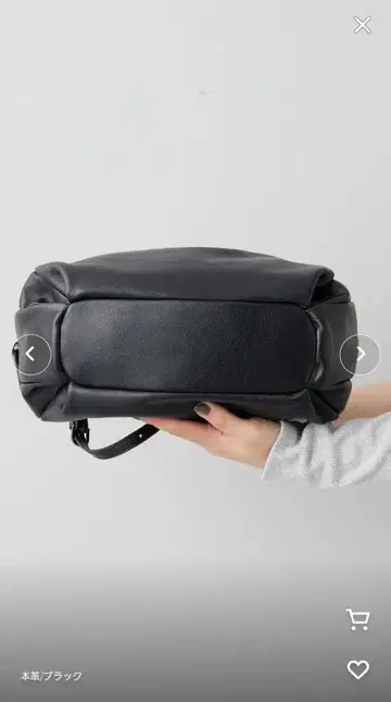 ear papillonner 콜론 보스턴 백