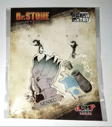 Dr.STONE 이시가미 센쿠 아크릴메트리 점프샵