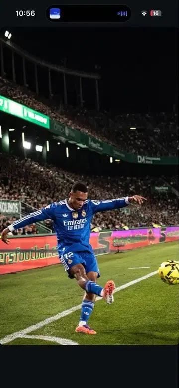 야마모토 착용 고양이 귀