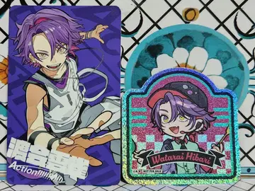 와타라이 히바리 묶음 판매