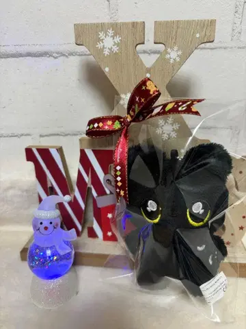 ENHYPEN JAY 봉제 인형 키링 * 트레이딩 카드 케이스 세트