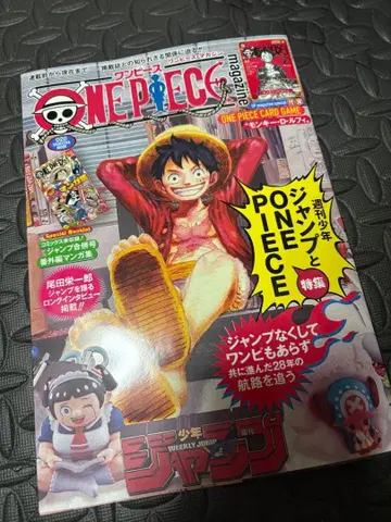 ONE PIECE 원피스 매거진