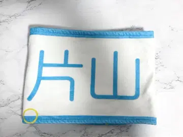 히나타자카46 카타야마 사키 오모테나시회 타월