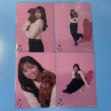 [ 하마기시 히요리 과거 의상 랜덤 브로마이드 세트 ] 4장 핑크 배경