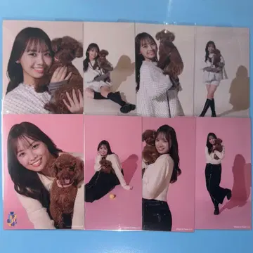 [ 하마기시 히요리 과거 의상 랜덤 브로마이드 세트 ] 8장 시크릿