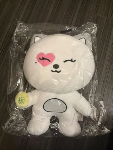 STAYC WITHC ISA 아이사 팝업 멜로냥