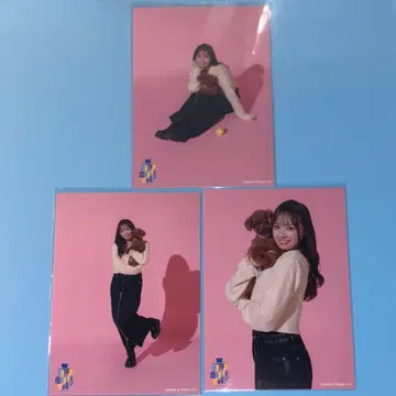 [ 하마기시 히요리 과거 의상 랜덤 브로마이드 세트 ] 3장 핑크 배경