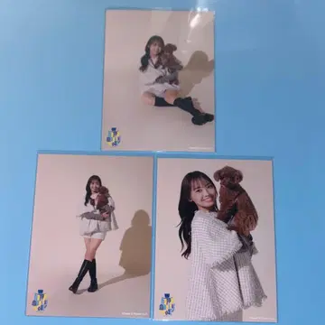 [ 하마기시 히요리 과거 의상 랜덤 브로마이드 세트 ] 3장 베이지 배경