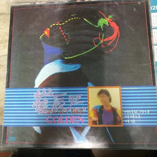 최진희 골든 앨범 LP 레코드판