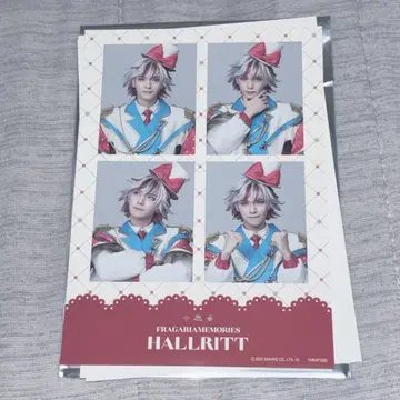 플라뮤 하를리트 사카요리