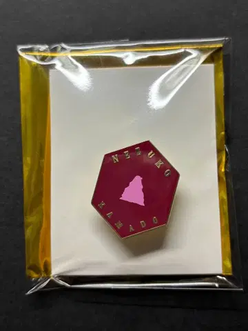 귀멸의 칼날 카마도 네즈코 대사백경 컬렉션 핀즈 핀즈