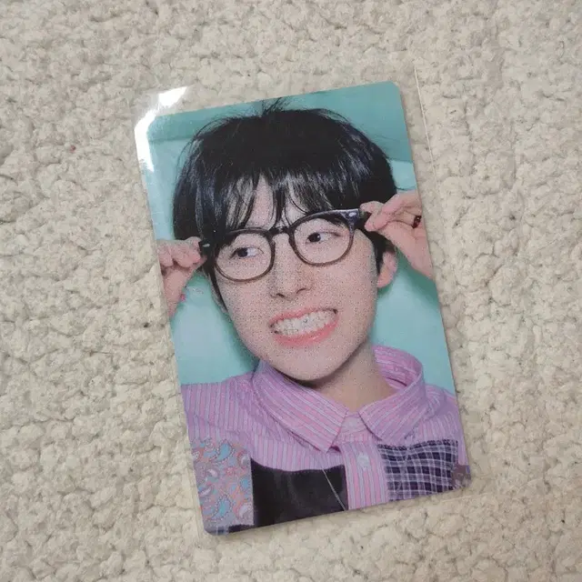 nct wish 엔시티 위시 위츄 팝츄 앨범 (사쿠야 포카 리쿠 띠부씰)