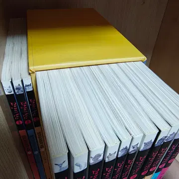 고양이 학교 14권 책 도서 소설책 초등학생 고양이학교 | 브랜드 중고