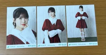 노기자카46 츠츠이 아야메 2024 Lucky Bag (달력 의상) 컴프