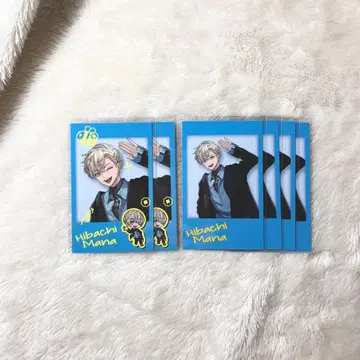 니지산지 히바치 마나 폴라로이드