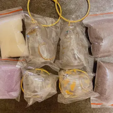 우리 집 털뭉치