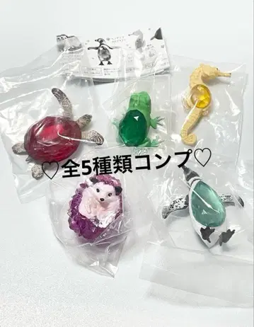 생물 x 보석 가챠 총 5종 컴프 애니멀 트랙션