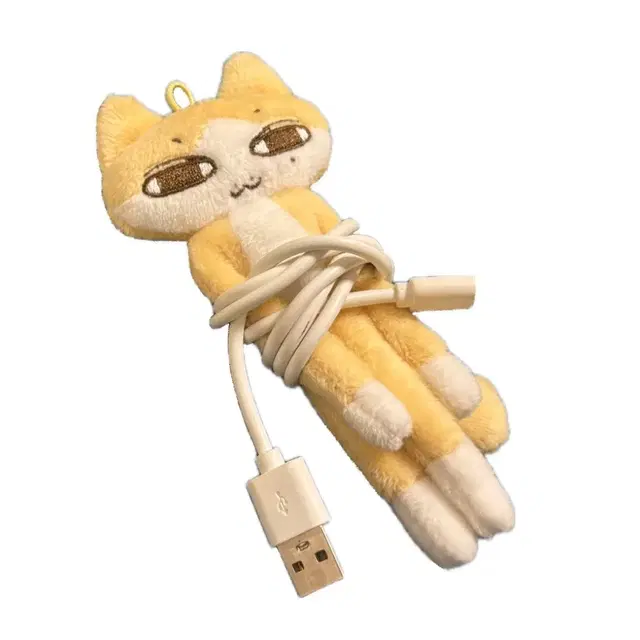 세븐틴 준 롱준냥 인형 양도 10cm 15cm 20cm 5cm