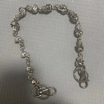 지갑 체인 해골