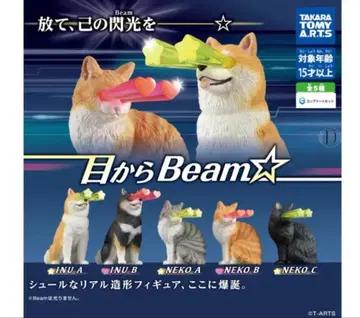 눈에서 Beam 전 5종 세트 컴플리트 세트