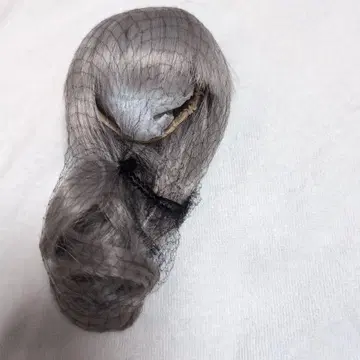 보크스 W-168N-T0906 환상 아쉬