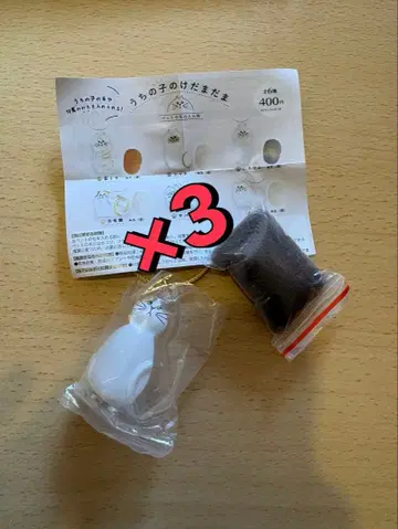 우리 아이 털뭉치 하치와레