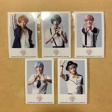 에이스테 애니카페 포토카드 여름조