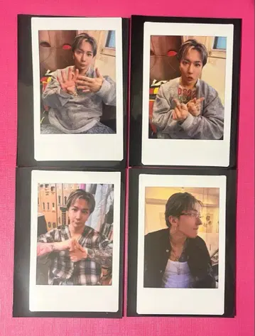 ViViD 이브 폴라로이드 4장 세트