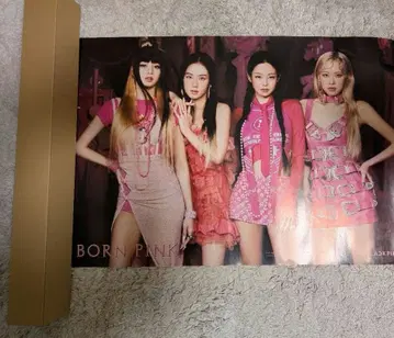 BLACKPINK 포스터