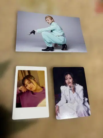 여왕벌 히바리군 야시짱 3장 세트