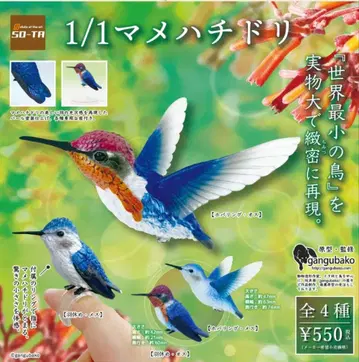 1/1 마메벌새 소타 2종