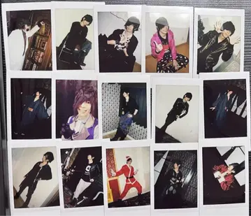 아나타시아 시바켄 런치크