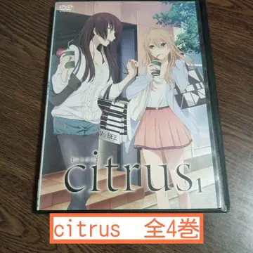 citrus 렌탈 시트러스 DVD