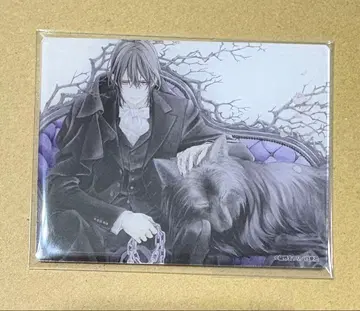 아크릴 카드 뱀파이어 기사 히루