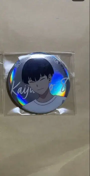 괴수 8호 베이스 야드 도쿄 호시나