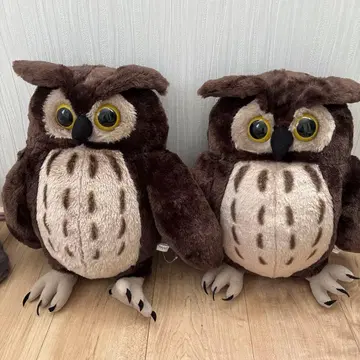 올빼미 봉제 인형 2개