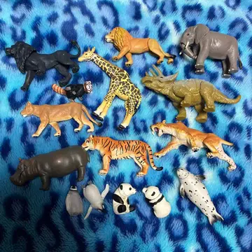 아니아 동물 모음 세트