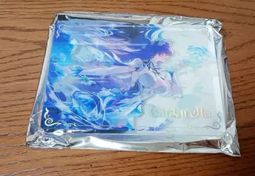 명조 아크릴 블록 칸타렐라