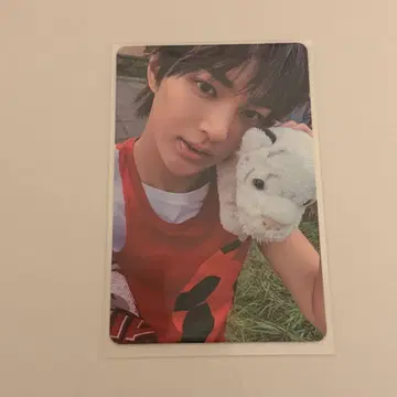 cortis 곤호 봉입 트레이딩 카드