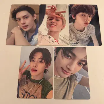 cortis 유니버셜 혜택 5장 세트