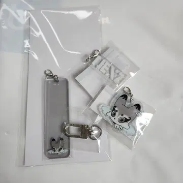 NEXZ 워크샵 fox2y