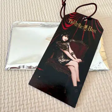 T-ARA 수하물 택 보람