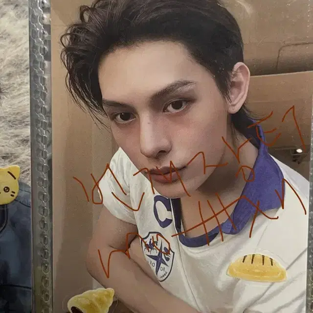 코르티스 제임스 앨범 포카 성현 주훈 건호 마틴