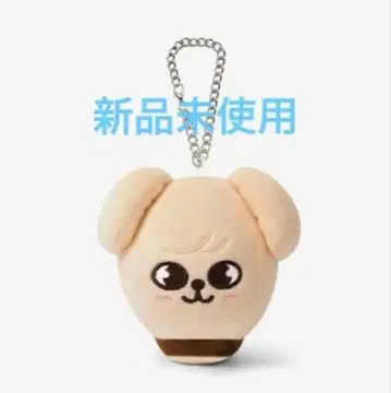 Stray Kids 스키즈 PuppyM 승민 5-STAR 백참