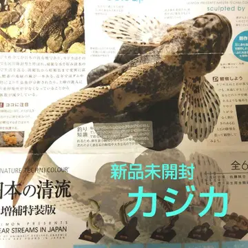 네이처 테크니컬러 일본의 청류 증보 특장판 카지카 미개봉 새상품