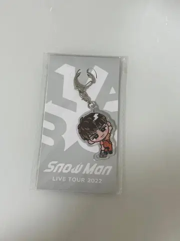 SnowMan 무카이 코지 아크링 키링