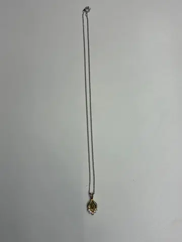 유품 정리 골드 펜던트 목걸이