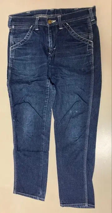 Lee 데님 페인터 팬츠s 오가닉