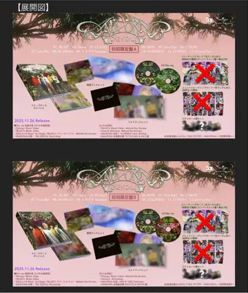 AMAZONIA 초회 한정판 A B 원앤온리 ONE N' ONLY